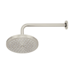 Regadera de laton 8? con brazo satinado element